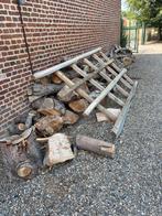 Brandhout moet nog gespleten worden., Enlèvement, Autres essences de bois, Bûches
