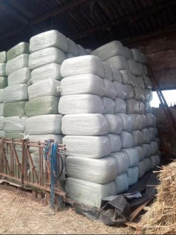 Kleine pakken voordroog gras beschikbaar voor biedingen