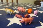 Petits cochons à collectionner, Utilisé, Statue ou Figurine, Animal de ferme, Enlèvement ou Envoi