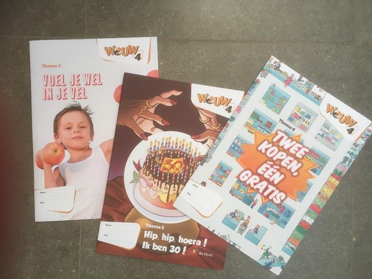 WOUW 4de leerjaar: 9 handleidingen en enkele werkboekjes, Boeken, Schoolboeken, Nieuw, Geschiedenis, BSO, Ophalen of Verzenden