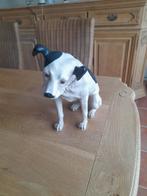 Boeren fox 37 cm hoog 35 cm lang, Dieren en Toebehoren, Ophalen