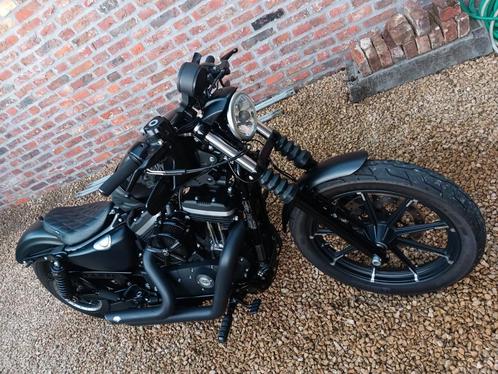 Harley Davidson  Iron 883, Motoren, Motoren | Harley-Davidson, Particulier, Chopper, Ophalen