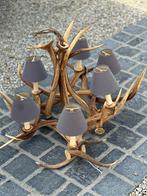 Gewei luster, Enlèvement