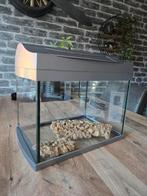 Aquarium 20L met toebehoren, Dieren en Toebehoren, Vissen | Aquaria en Toebehoren, Ophalen