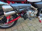 Akrapovic volledig uitlaatsysteem voor Honda Monkey 125., Fietsen en Brommers, Ophalen, Nieuw, Honda