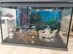 Aquarium, Dieren en Toebehoren, Vissen | Aquaria en Toebehoren, Ophalen, Zo goed als nieuw