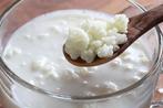 Graines de kéfir / kefir grains, Ophalen