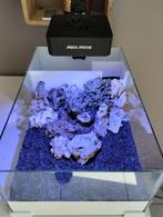 Nano aquarium marin, Comme neuf, Enlèvement ou Envoi