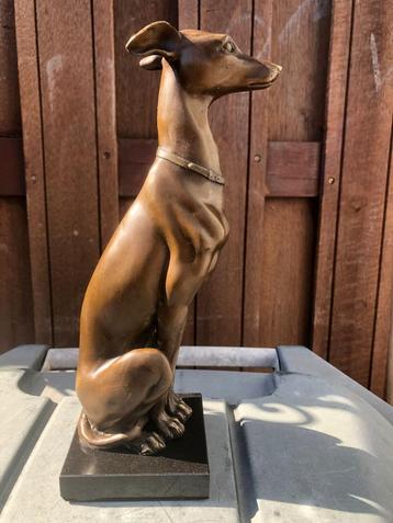 pracht bronzen hond hazewindhond windhond whippet