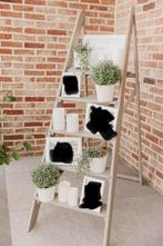 Decoratieladder - zonder decoraties, Antiek en Kunst, Ophalen