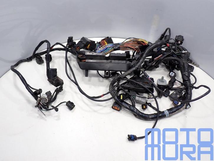 Kabelboom voor Triumph Tiger 1200 Explorer XCA 2016 - 2017 d, Motoren, Onderdelen | Overige, Gebruikt, Ophalen of Verzenden