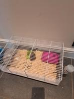 Hamster + leuke kooi. ZEER ZUIVER., Dieren en Toebehoren, Ophalen, Kooi, Hamster