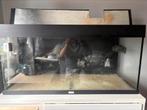 ALL-INCLUSIVE AQUARIUM 200L (lees de beschrijving), Dieren en Toebehoren, Ophalen, Gebruikt, Overige typen