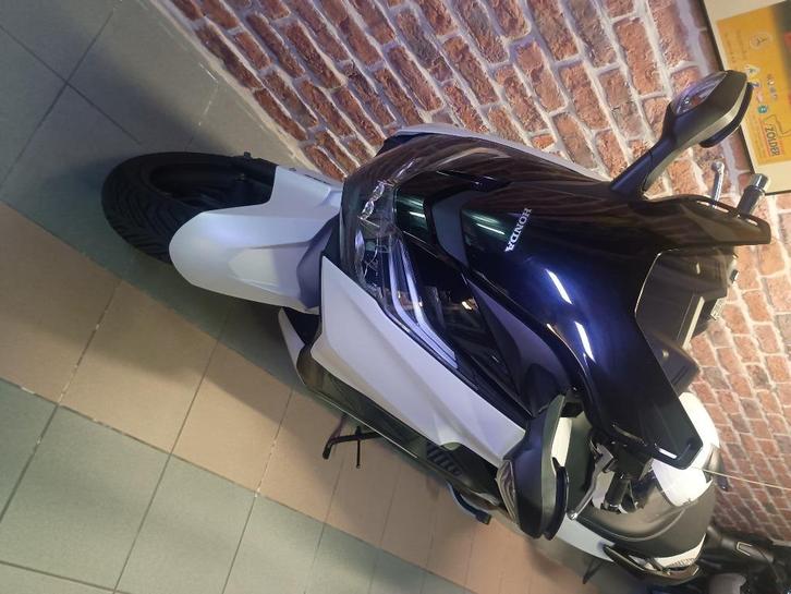 Honda Forza 125cc, Motoren, Motoren | Honda, Particulier, Scooter, 11 kW of minder, ABS, Handvatverwarming, LED Verlichting, Ophalen