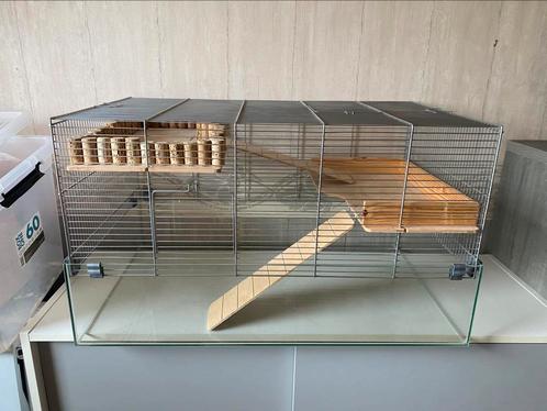 Knaagdierkooi + bijhorende spullen, Dieren en Toebehoren, Knaagdieren en Konijnen | Hokken en Kooien, Gebruikt, Kooi, Minder dan 60 cm