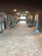 Prive stalling, Dieren en Toebehoren, Stalling en Weidegang, Stalling