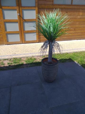 Kunstplant palm 140 cm beschikbaar voor biedingen