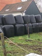 Maïsbalen, Zakelijke goederen, Landbouw | Veevoer, Ophalen of Verzenden