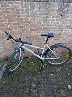 Vélo pour femme, Vélos & Vélomoteurs, Enlèvement, Utilisé, Autres marques