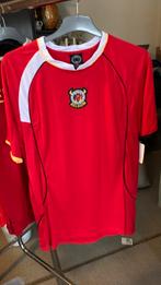 13 niet gebruikte voetbaltruien jaren 90, Ophalen of Verzenden, Zo goed als nieuw