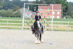 Prachtige doodbrave blue Roan pony, Dieren en Toebehoren, Merrie