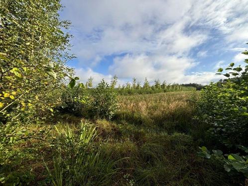 Bos te koop in Balen, Immo, Gronden en Bouwgronden, tot 200 m²