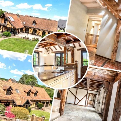 Vegan co-houser gezocht co-housing b & b showroom aan huis, Contacten en Berichten, Huisgenoten gezocht