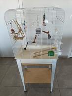 Vogel kooi, Dieren en Toebehoren, Ophalen