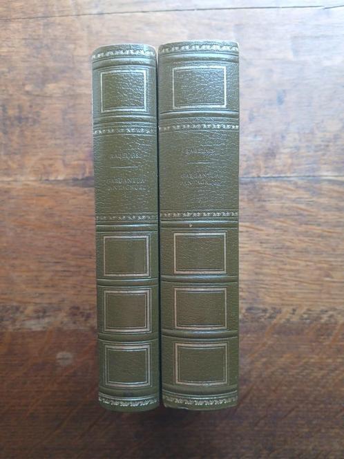 Rabelais - Gargantua & Pantagruel, Boeken, Literatuur, Zo goed als nieuw, Europa overig, Ophalen of Verzenden