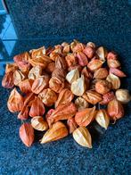 Herfst decoratie voor de 2 foto’s, Huis en Inrichting, Woonaccessoires | Kransen, Ophalen of Verzenden, Zo goed als nieuw
