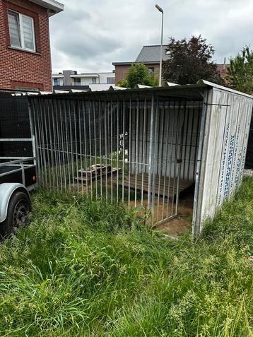 Hondenren 2m op 3m met afdak beschikbaar voor biedingen