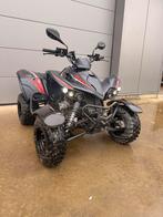 Kymco Maxxer 300 quad, Motoren