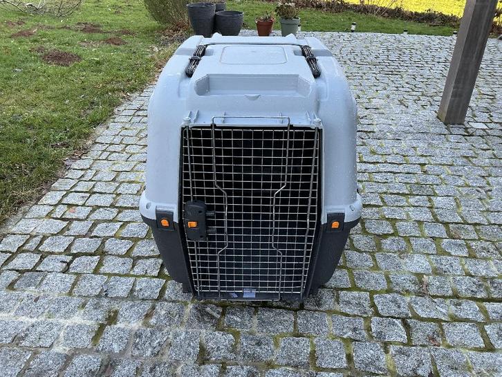 Cage de transport pour chien avion, Dieren en Toebehoren, Transportboxen, Zo goed als nieuw, Ophalen