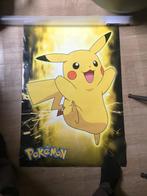 Pokemon poster, Verzamelen, Ophalen of Verzenden, A1 t/m A3, Film en Tv, Rechthoekig Staand