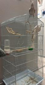 Calopsite couple, Enlèvement ou Envoi, Comme neuf