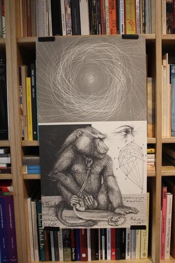 Pierre-Yves Trémois poster - The Monkey's eye  - 1975 beschikbaar voor biedingen