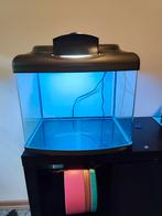 Aquarium, Enlèvement, Comme neuf