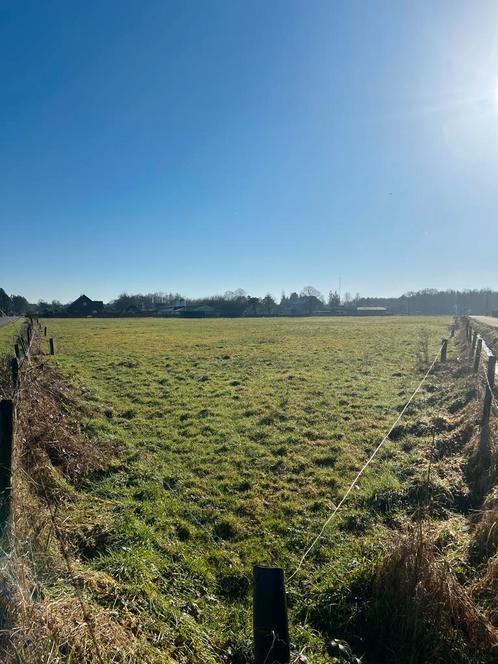Weide met stal voor paarden, Dieren en Toebehoren, Stalling en Weidegang, Stalling, Weidegang, 4 paarden of pony's of meer