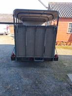 Aanhangwagen voor schapen te koop, Ophalen, Gebruikt