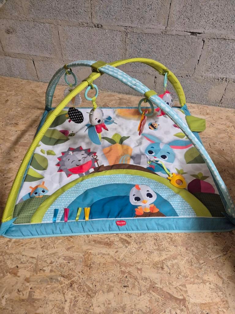 Tapis d'éveil, Enfants & Bébés, Jouets | Éducatifs & Créatifs