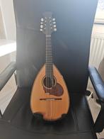 Suzuki model no M-20, Muziek en Instrumenten, Snaarinstrumenten | Gitaren | Akoestisch, Ophalen