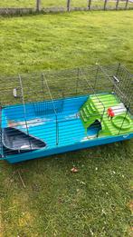 Clapier pour lapin/cochon d'Inde, Niche, Moins de 60 cm, Utilisé, Rat