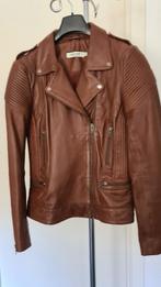 Perfecto en cuir, Neuf, Taille 38/40 (M), Brun, Enlèvement