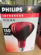 Infrarood lampen dieren, Maison & Meubles, Lampes | Lampes en vrac, Enlèvement, Comme neuf