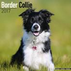 Calendrier Border Collie 2017, Enlèvement ou Envoi, Calendrier annuel, Neuf
