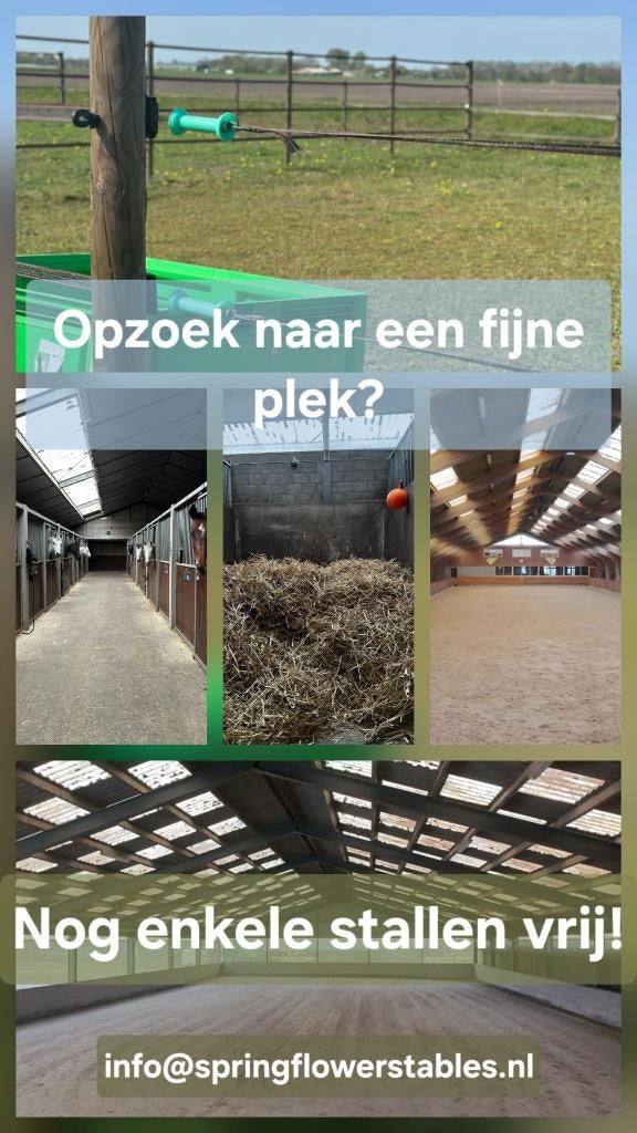 pensionstal vrij / stal aangeboden nabij Tilburg, Dieren en Toebehoren, Stalling en Weidegang, Stalling, 2 of 3 paarden of pony's