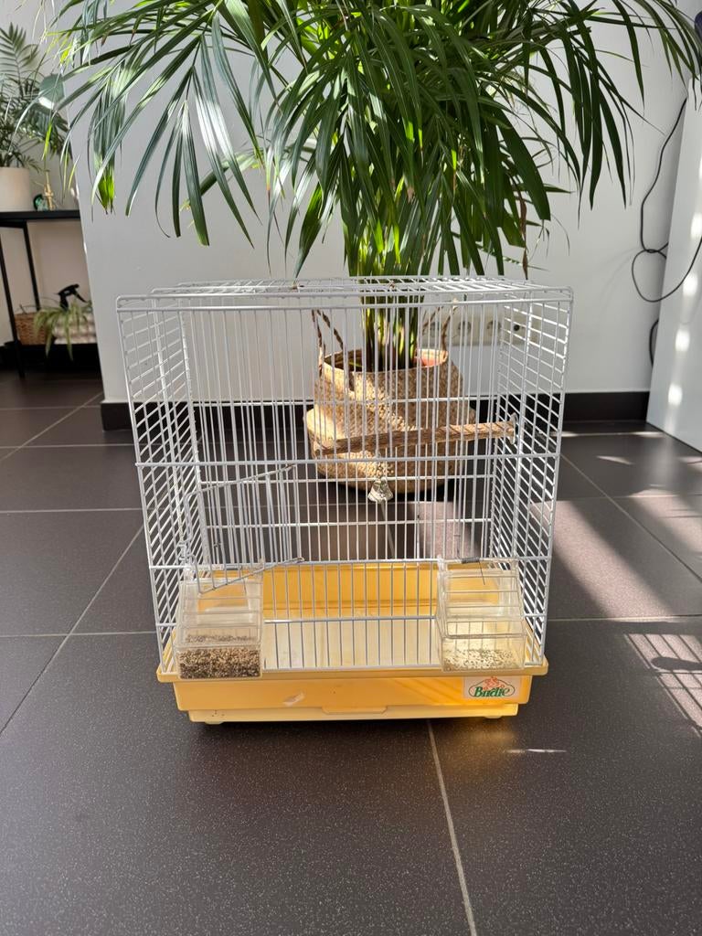 vogelkooi, Dieren en Toebehoren, Ophalen, Gebruikt, Vogelkooi