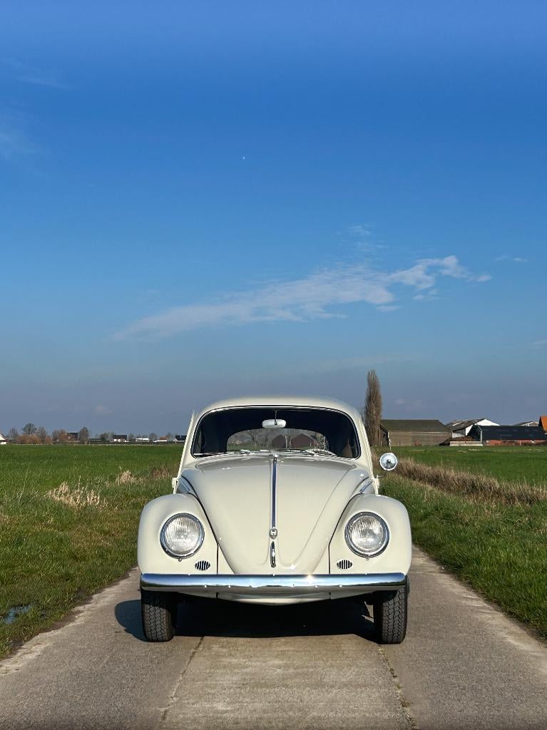 Vw kever 1200 bwj 1957, perfecte staat , gekeurd + garantie, 4 zetels, 4 cilinders, Wit, Handgeschakeld