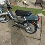 Un wallaroo de luxe chic avec des papiers, Enlèvement