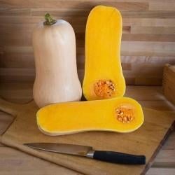 pompoenplanten 15 soorten pompoen, Tuin en Terras, Ophalen